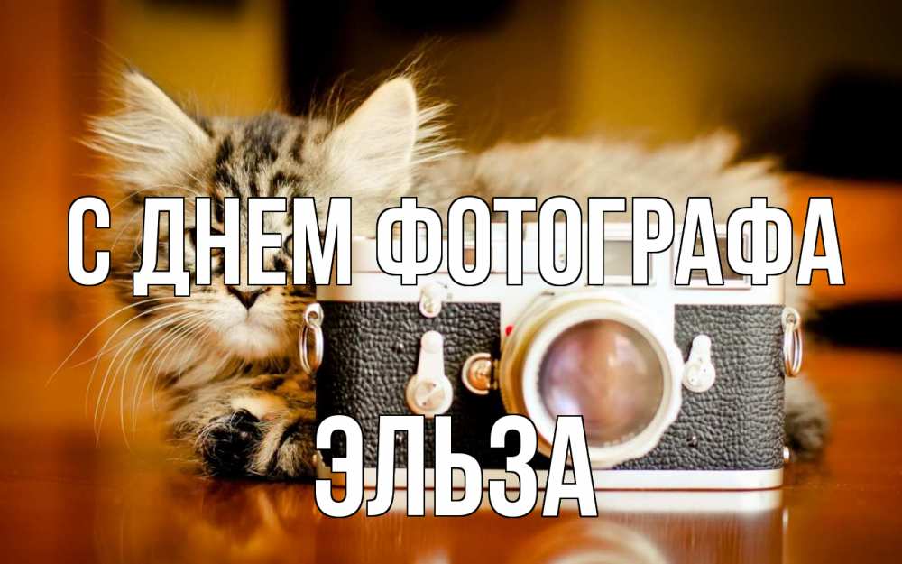 Открытка на каждый день с именем, Эльза С днем фотографа с днем фотографа Прикольная открытка с пожеланием онлайн скачать бесплатно 