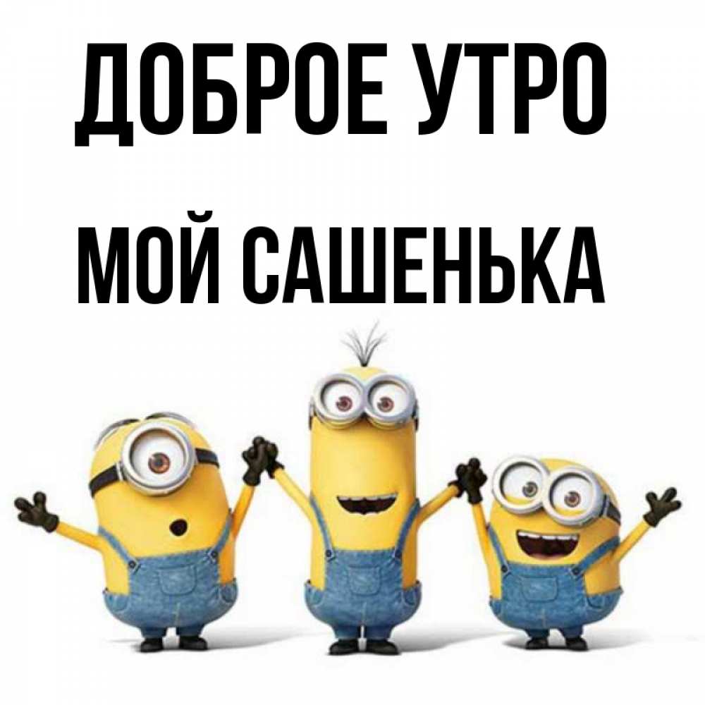 Открытка на каждый день с именем, мой-Сашенька Доброе утро бодренького утра Прикольная открытка с пожеланием онлайн скачать бесплатно 