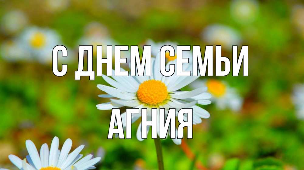 Открытка на каждый день с именем, Агния С днем семьи с днем семьи Прикольная открытка с пожеланием онлайн скачать бесплатно 