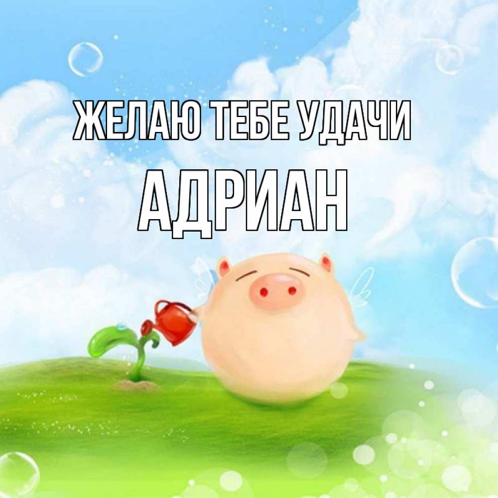 Открытка на каждый день с именем, Адриан Желаю тебе удачи поросенок поливает цветок. летнее настроение Прикольная открытка с пожеланием онлайн скачать бесплатно 