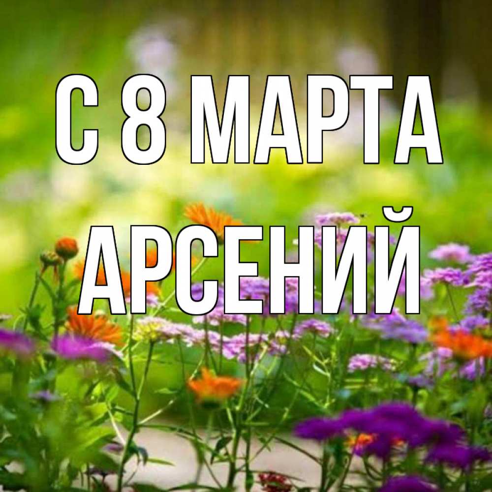 Открытка на каждый день с именем, Арсений С 8 МАРТА цветы Прикольная открытка с пожеланием онлайн скачать бесплатно 