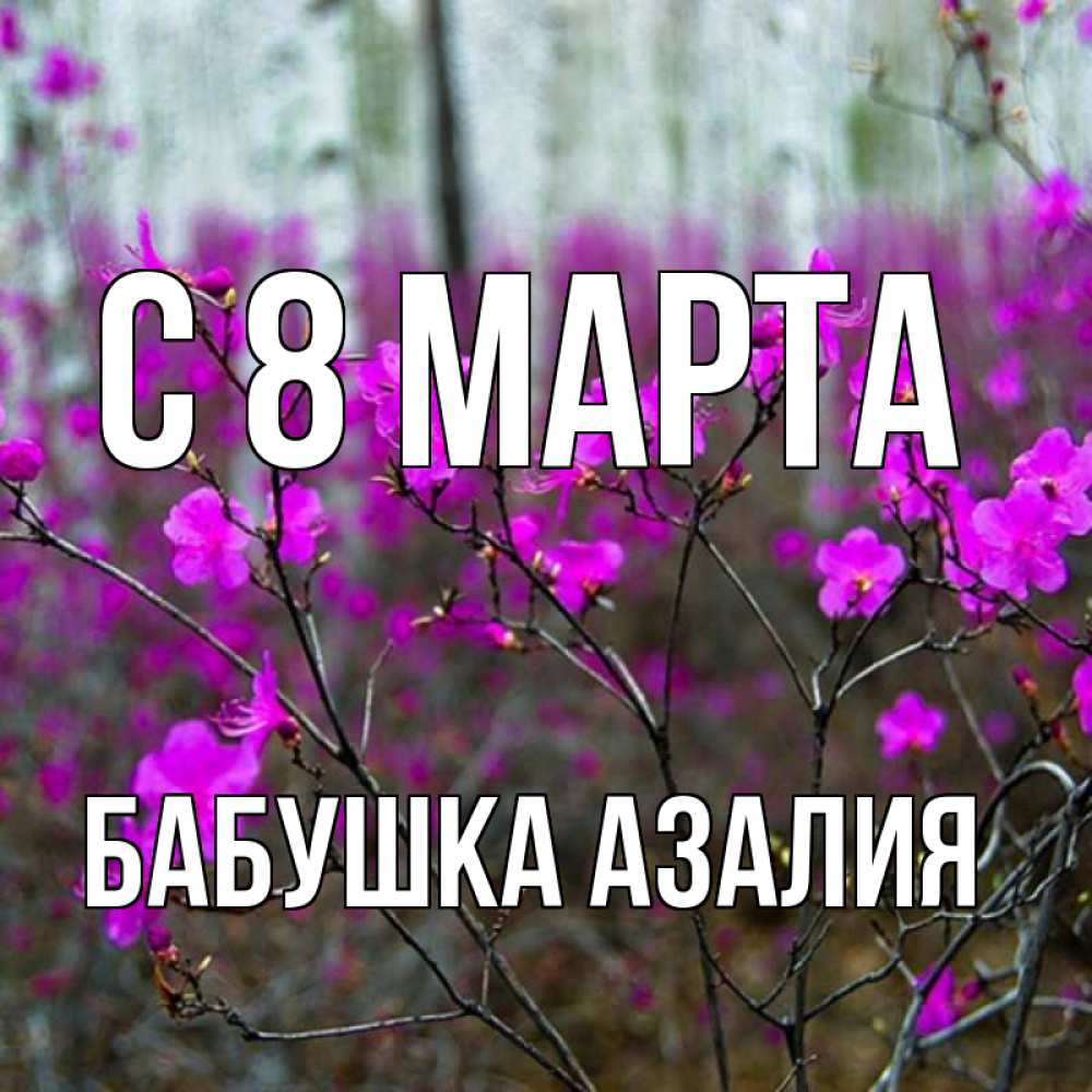 Открытка на каждый день с именем, Бабушка-Азалия С 8 МАРТА дикие цветы Прикольная открытка с пожеланием онлайн скачать бесплатно 