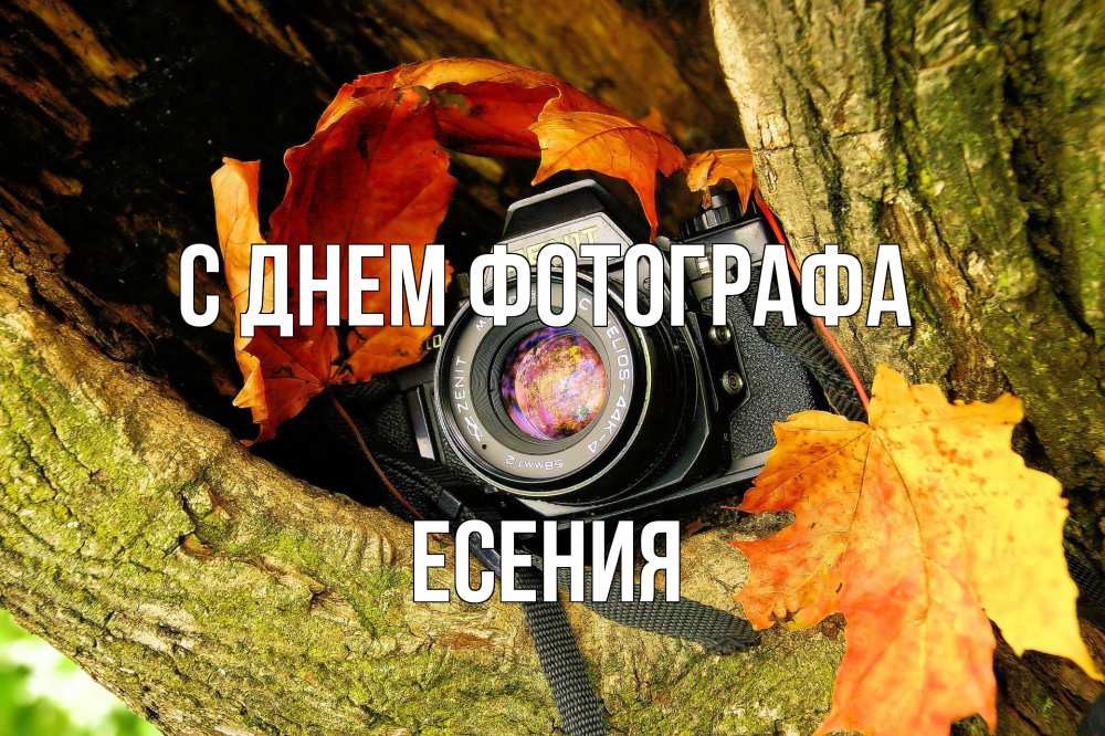 Открытка на каждый день с именем, Есения С днем фотографа с днем фотографа 1 Прикольная открытка с пожеланием онлайн скачать бесплатно 
