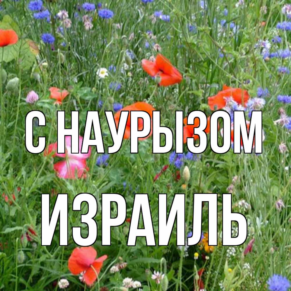 Открытка на каждый день с именем, Израиль С наурызом праздник весны наурыз супер открытка Прикольная открытка с пожеланием онлайн скачать бесплатно 