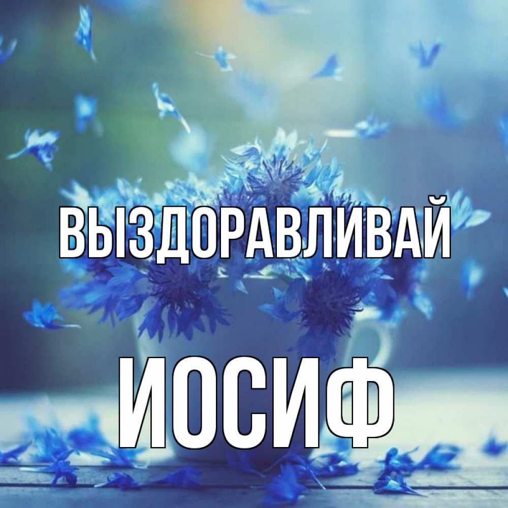Открытка на каждый день с именем, Иосиф Выздоравливай кружка с зельем и цветами Прикольная открытка с пожеланием онлайн скачать бесплатно 