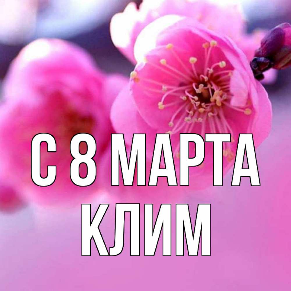 Открытка на каждый день с именем, Клим С 8 марта международный женский день Прикольная открытка с пожеланием онлайн скачать бесплатно 