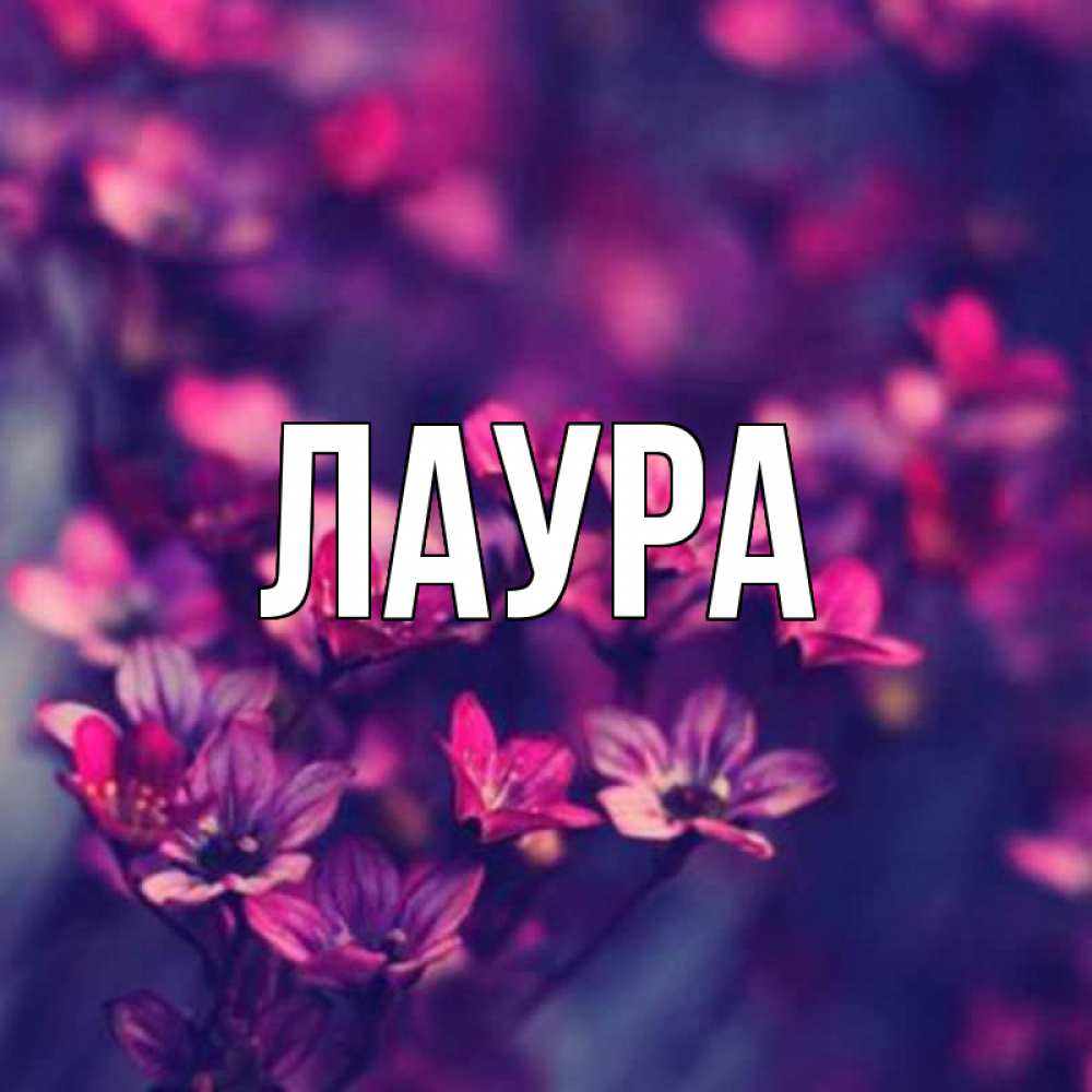 Открытка на каждый день с именем, Лаура Главная небольшие цветы 1 Прикольная открытка с пожеланием онлайн скачать бесплатно 