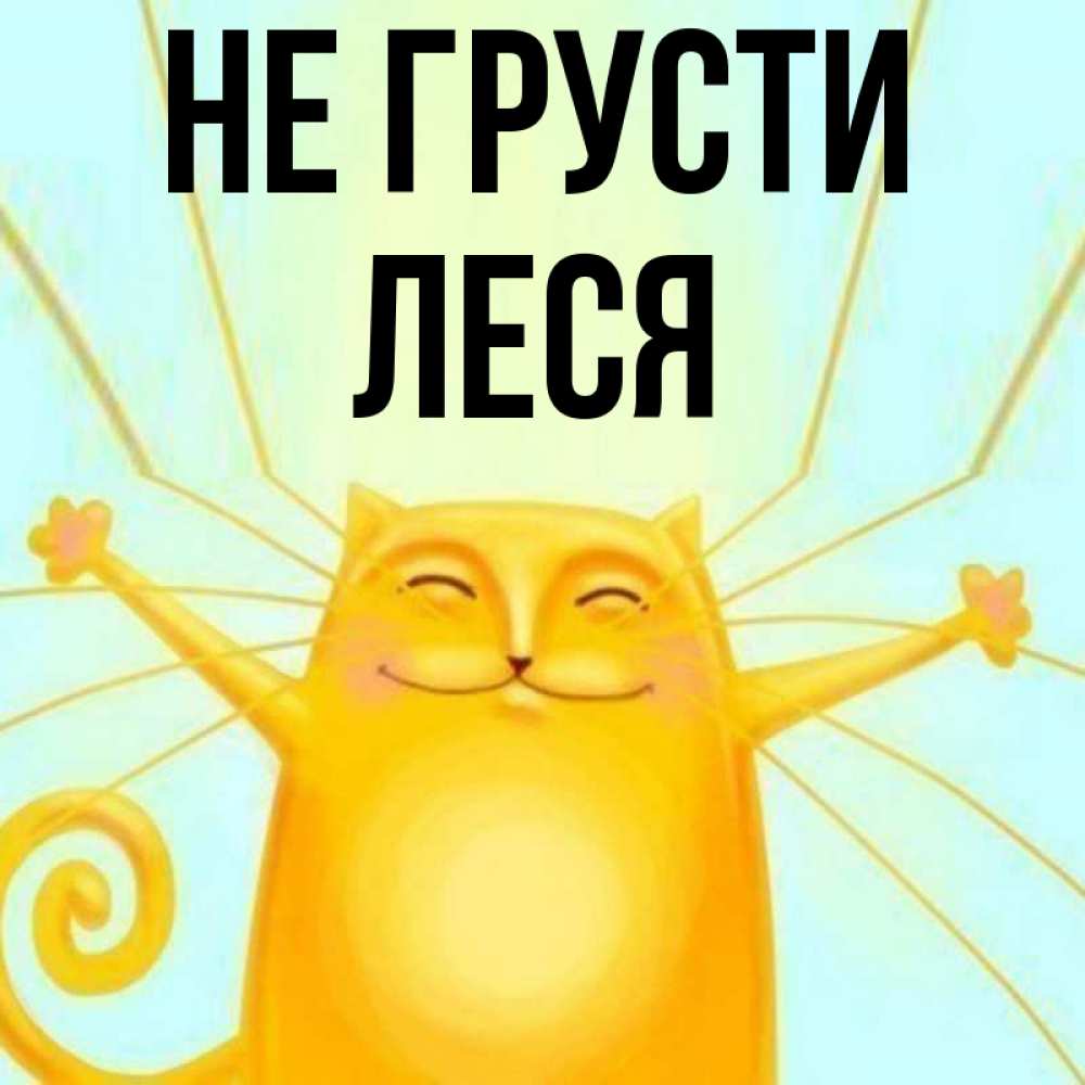 Открытка на каждый день с именем, Леся Не грусти обнимашки усатые Прикольная открытка с пожеланием онлайн скачать бесплатно 