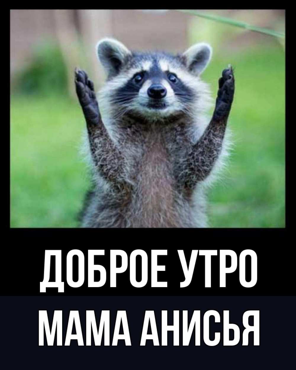 Открытка на каждый день с именем, Мама-Анисья Доброе утро хорошее настроение утречком Прикольная открытка с пожеланием онлайн скачать бесплатно 