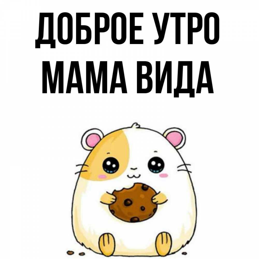 Открытка на каждый день с именем, Мама-Вида Доброе утро есть печеньку. Утречко Прикольная открытка с пожеланием онлайн скачать бесплатно 