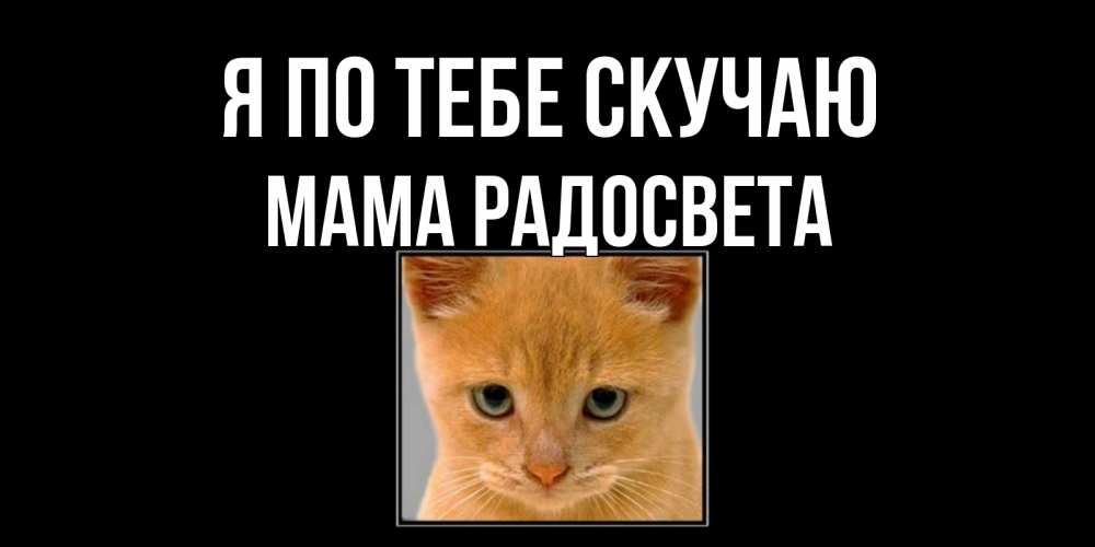 Открытка на каждый день с именем, Мама-Радосвета Я по тебе скучаю открытки рыжий котенок скучает по тебе Прикольная открытка с пожеланием онлайн скачать бесплатно 