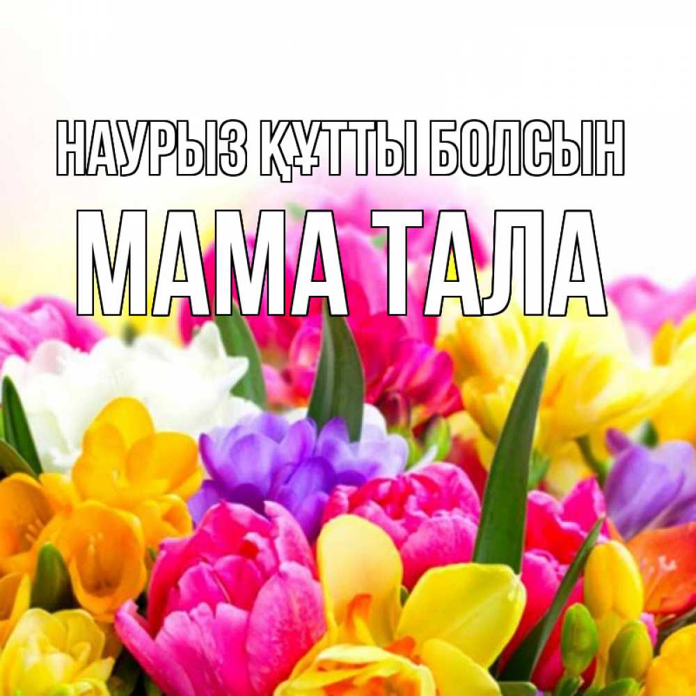 Открытка на каждый день с именем, Мама-Тала Наурыз құтты болсын тюльпаны Прикольная открытка с пожеланием онлайн скачать бесплатно 