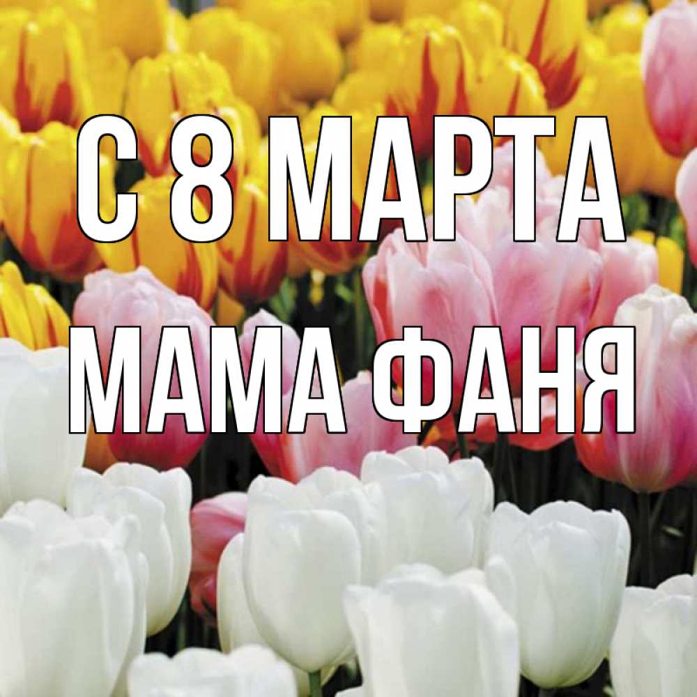 Открытка на каждый день с именем, Мама-Фаня С 8 МАРТА разноцветные цветы Прикольная открытка с пожеланием онлайн скачать бесплатно 