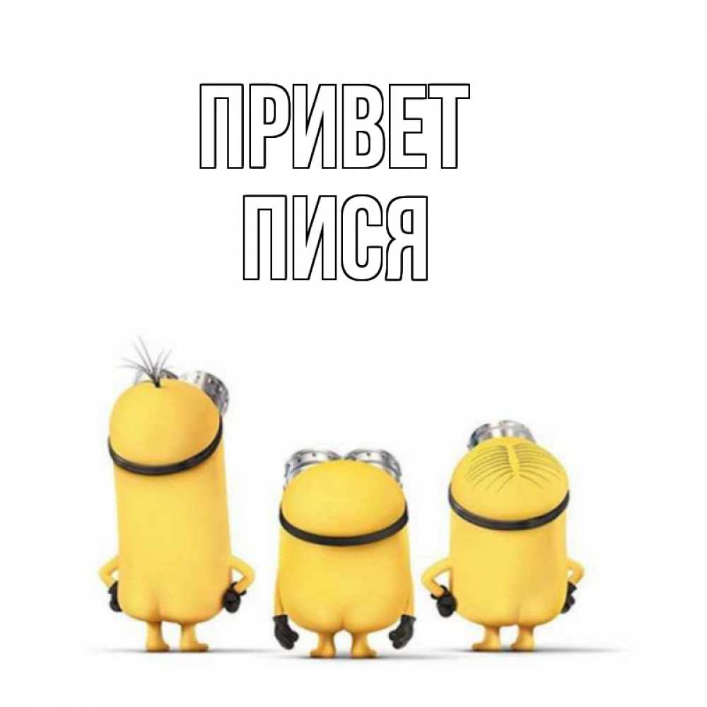 Открытка на каждый день с именем, Пися Привет приветики Прикольная открытка с пожеланием онлайн скачать бесплатно 
