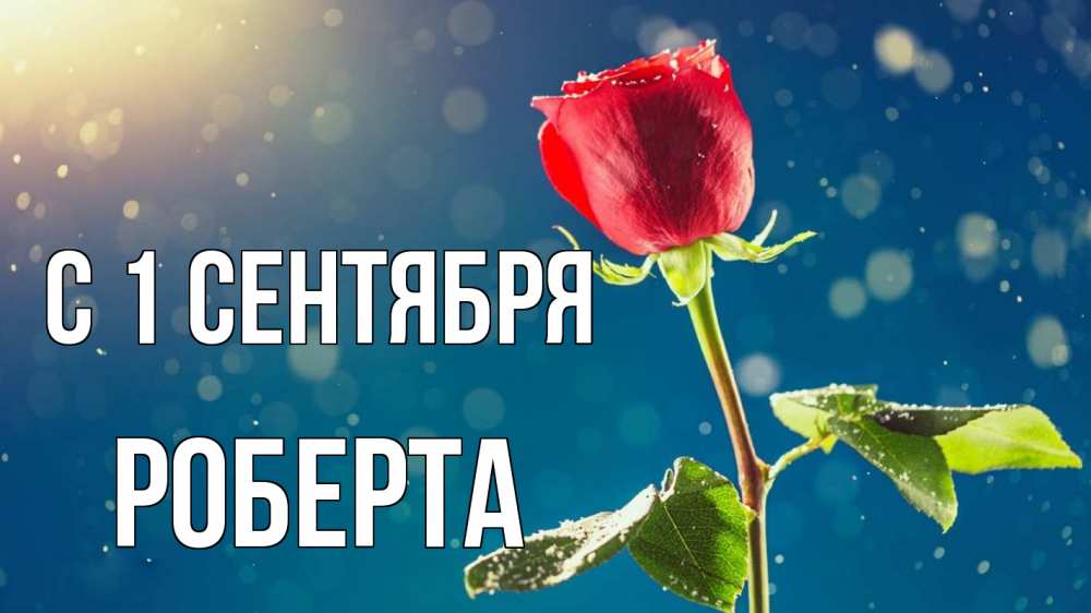 Открытка на каждый день с именем, Роберта С 1 сентября с днем знаний Прикольная открытка с пожеланием онлайн скачать бесплатно 