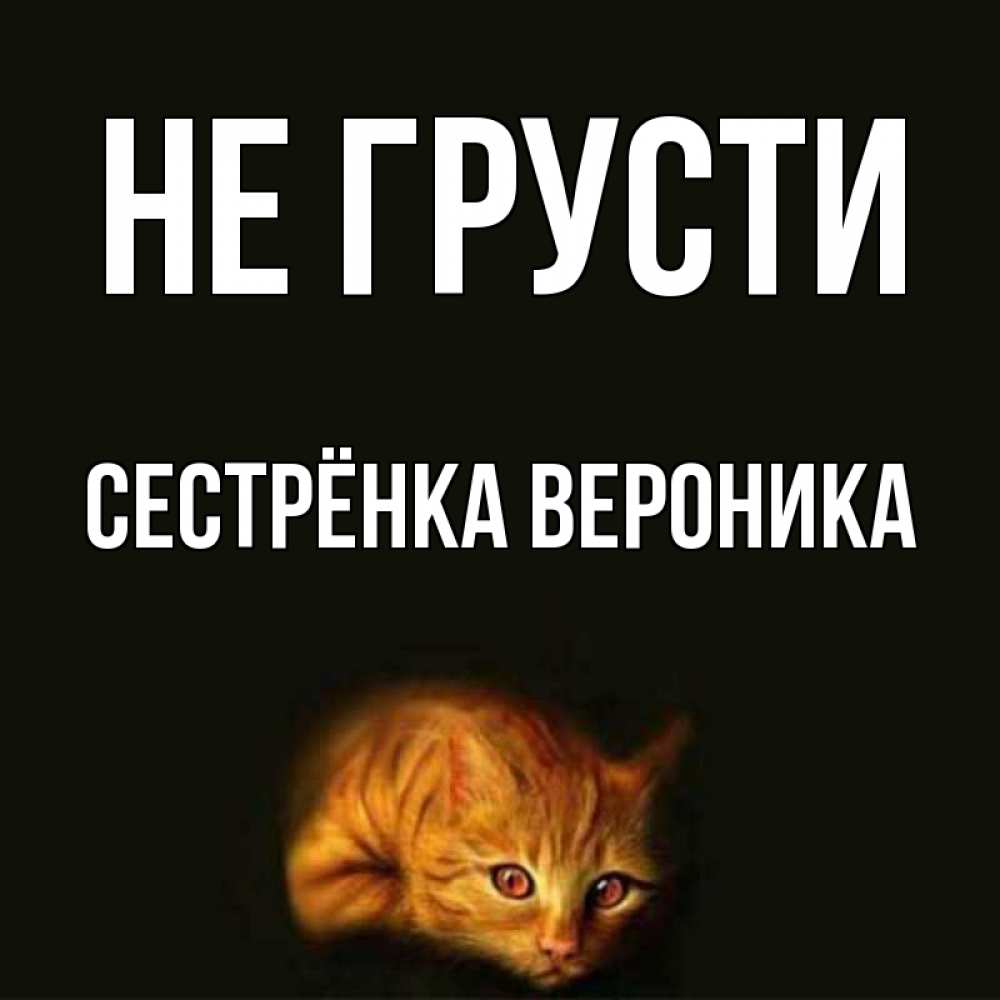 Открытка на каждый день с именем, Сестрёнка-Вероника Не грусти лежащий кот в темноте Прикольная открытка с пожеланием онлайн скачать бесплатно 