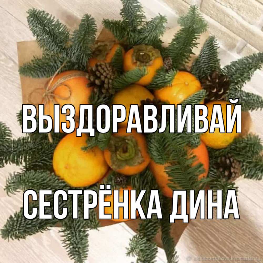 Открытка на каждый день с именем, Сестрёнка-Дина Выздоравливай апельсины и хурьма Прикольная открытка с пожеланием онлайн скачать бесплатно 