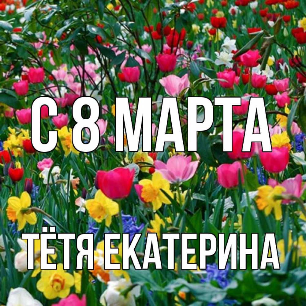 Открытка на каждый день с именем, Тётя-Екатерина С 8 марта с международным женским днем поздравления для женщины Прикольная открытка с пожеланием онлайн скачать бесплатно 