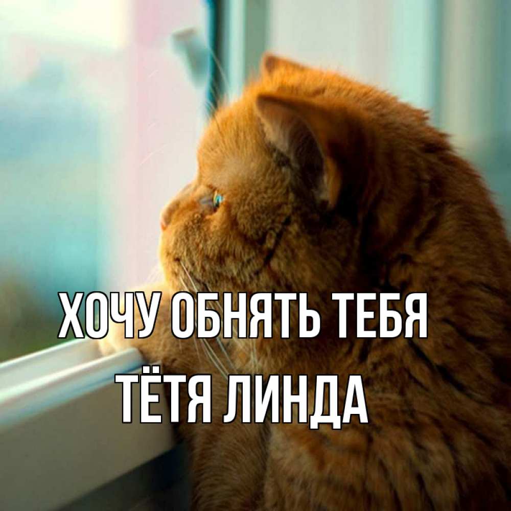 Открытка на каждый день с именем, Тётя-Линда Хочу обнять тебя большой огромный рыжий котяра Прикольная открытка с пожеланием онлайн скачать бесплатно 