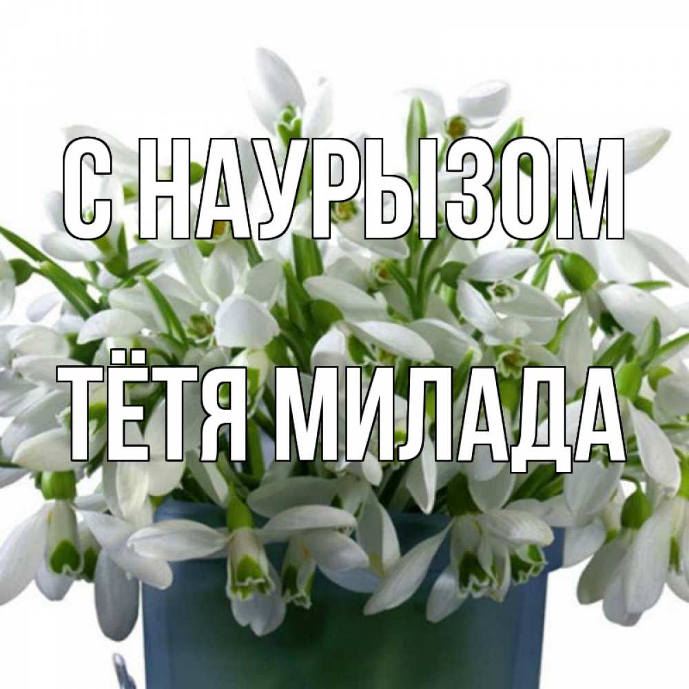 Открытка на каждый день с именем, Тётя-Милада С наурызом цветы к наурызу новый год в Казахстане Прикольная открытка с пожеланием онлайн скачать бесплатно 