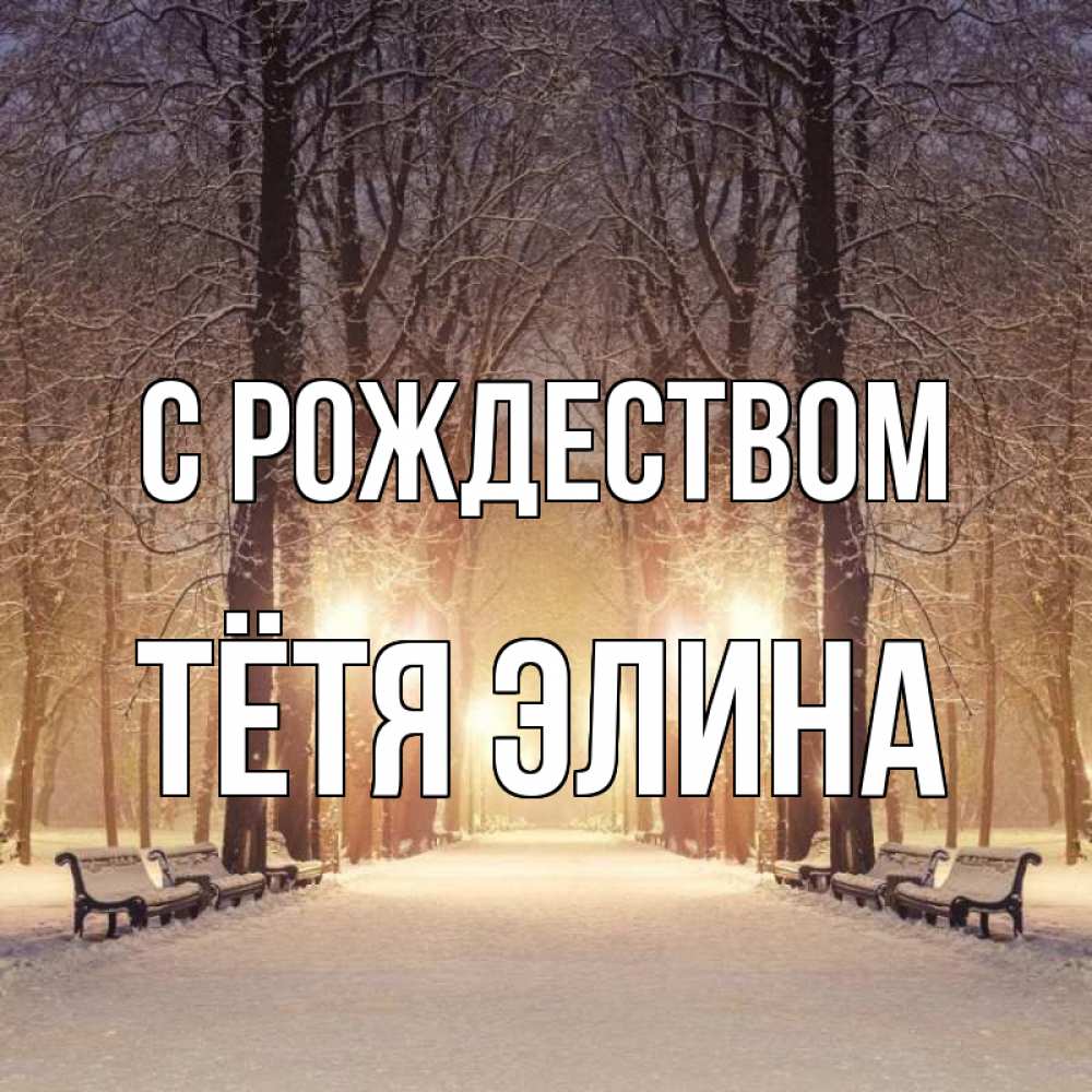 Открытка на каждый день с именем, Тётя-Элина С рождеством зима, парк, фонарь, лес Прикольная открытка с пожеланием онлайн скачать бесплатно 