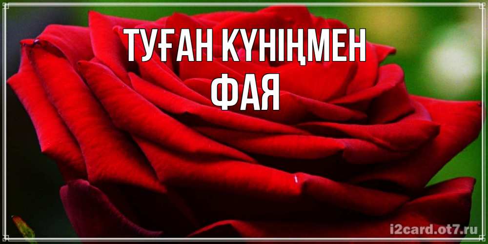 Открытка на каждый день с именем, Фая Туған күніңмен розочка очень красивая Прикольная открытка с пожеланием онлайн скачать бесплатно 