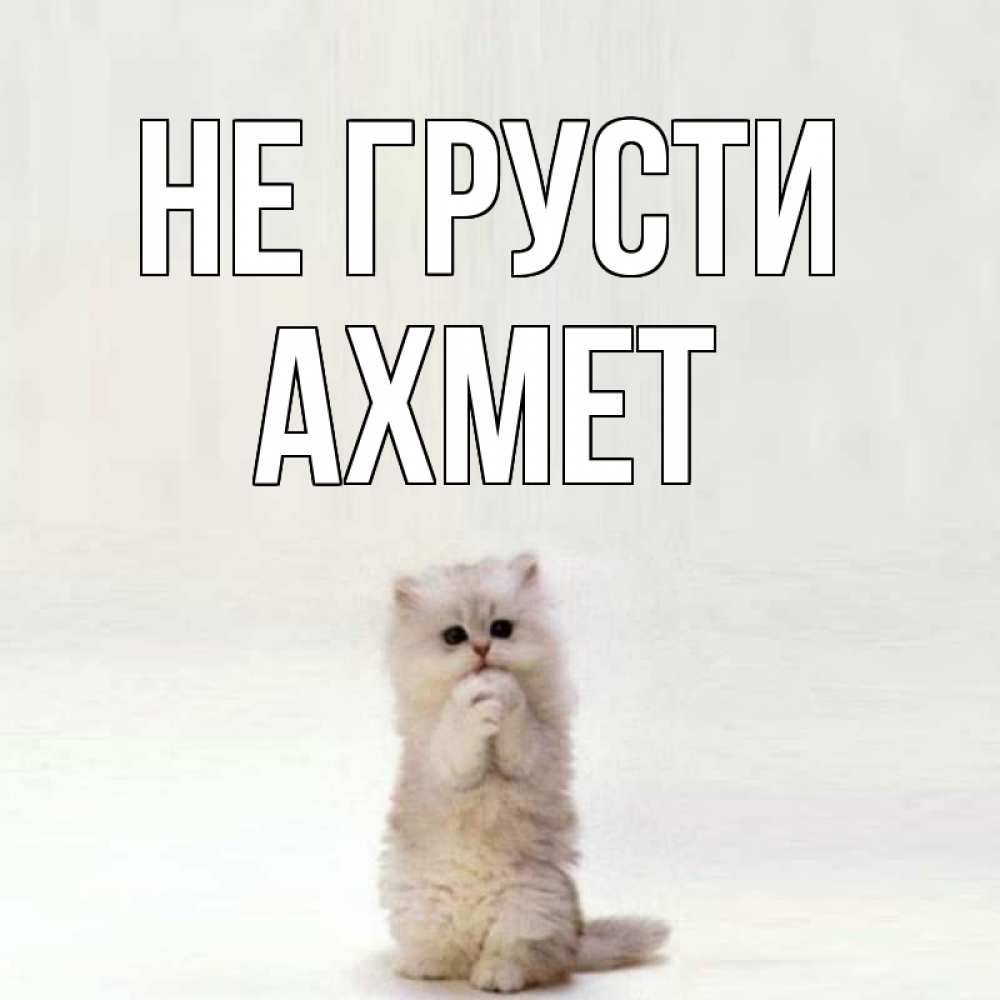 Открытка на каждый день с именем, Ахмет Не грусти грустный кот Прикольная открытка с пожеланием онлайн скачать бесплатно 