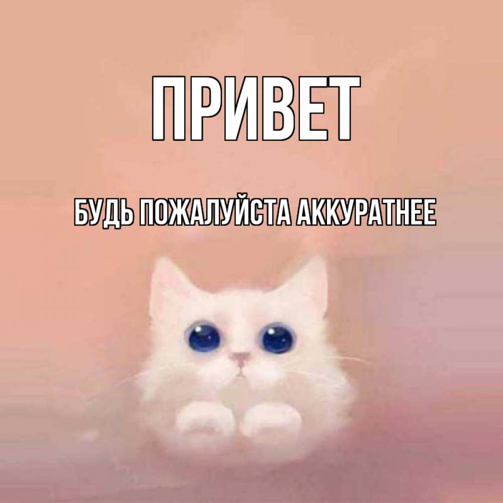 Открытка на каждый день с именем, БУДЬ-ПОЖАЛУЙСТА-АККУРАТНЕЕ Привет котик белый в полете Прикольная открытка с пожеланием онлайн скачать бесплатно 