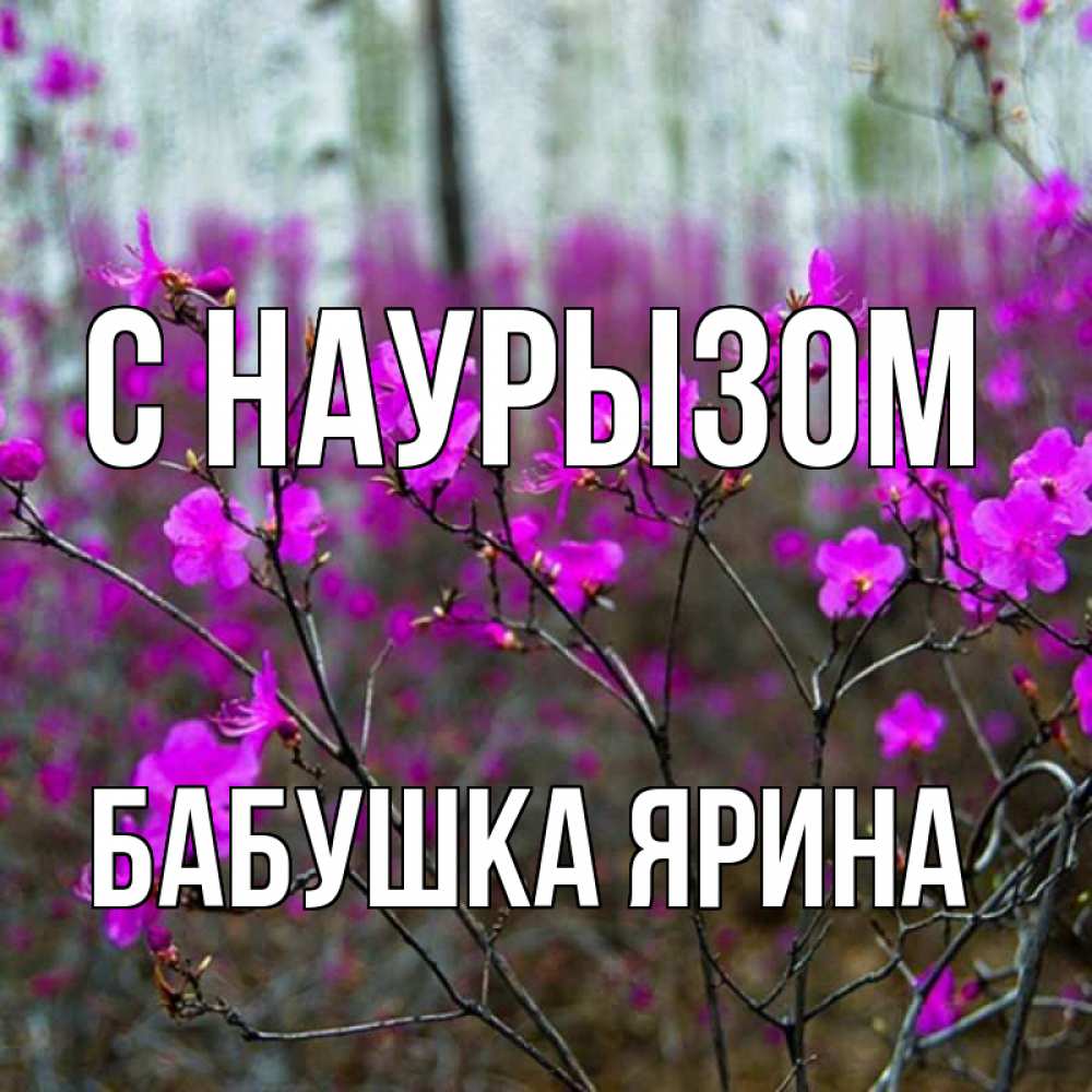 Открытка на каждый день с именем, Бабушка-Ярина С наурызом дикие цветы Прикольная открытка с пожеланием онлайн скачать бесплатно 