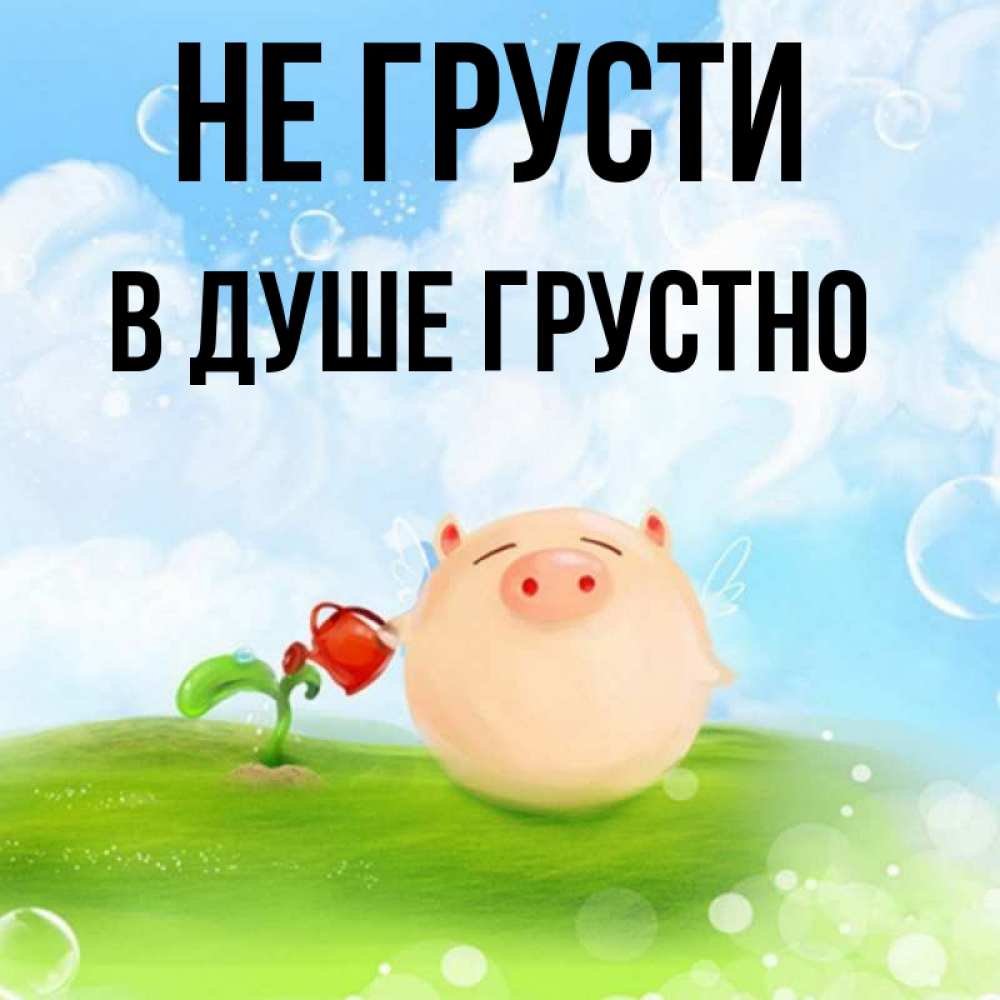 Открытка на каждый день с именем, В-душе-грустно Не грусти поливает цветок порося Прикольная открытка с пожеланием онлайн скачать бесплатно 