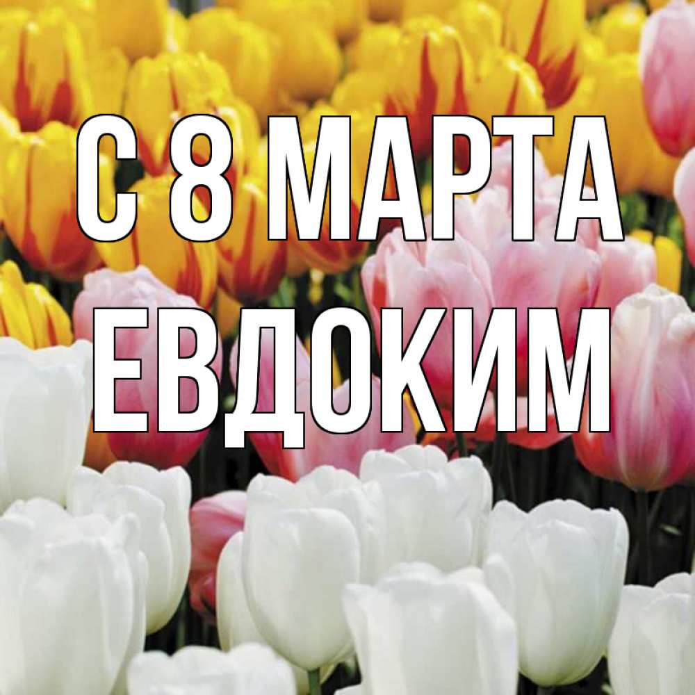 Открытка на каждый день с именем, Евдоким С 8 марта разноцветные цветы Прикольная открытка с пожеланием онлайн скачать бесплатно 