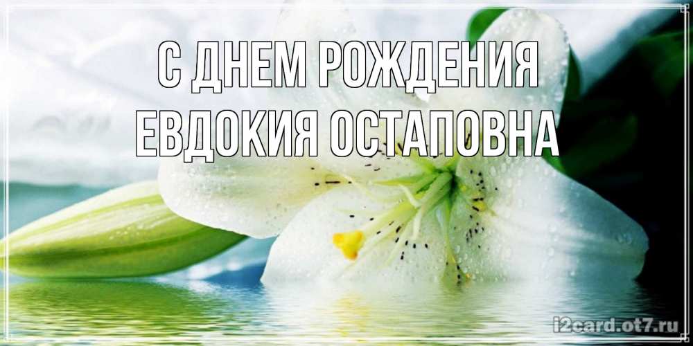 Открытка на каждый день с именем, Евдокия-Остаповна С днем рождения лилия на открытке ко дню рождения Прикольная открытка с пожеланием онлайн скачать бесплатно 