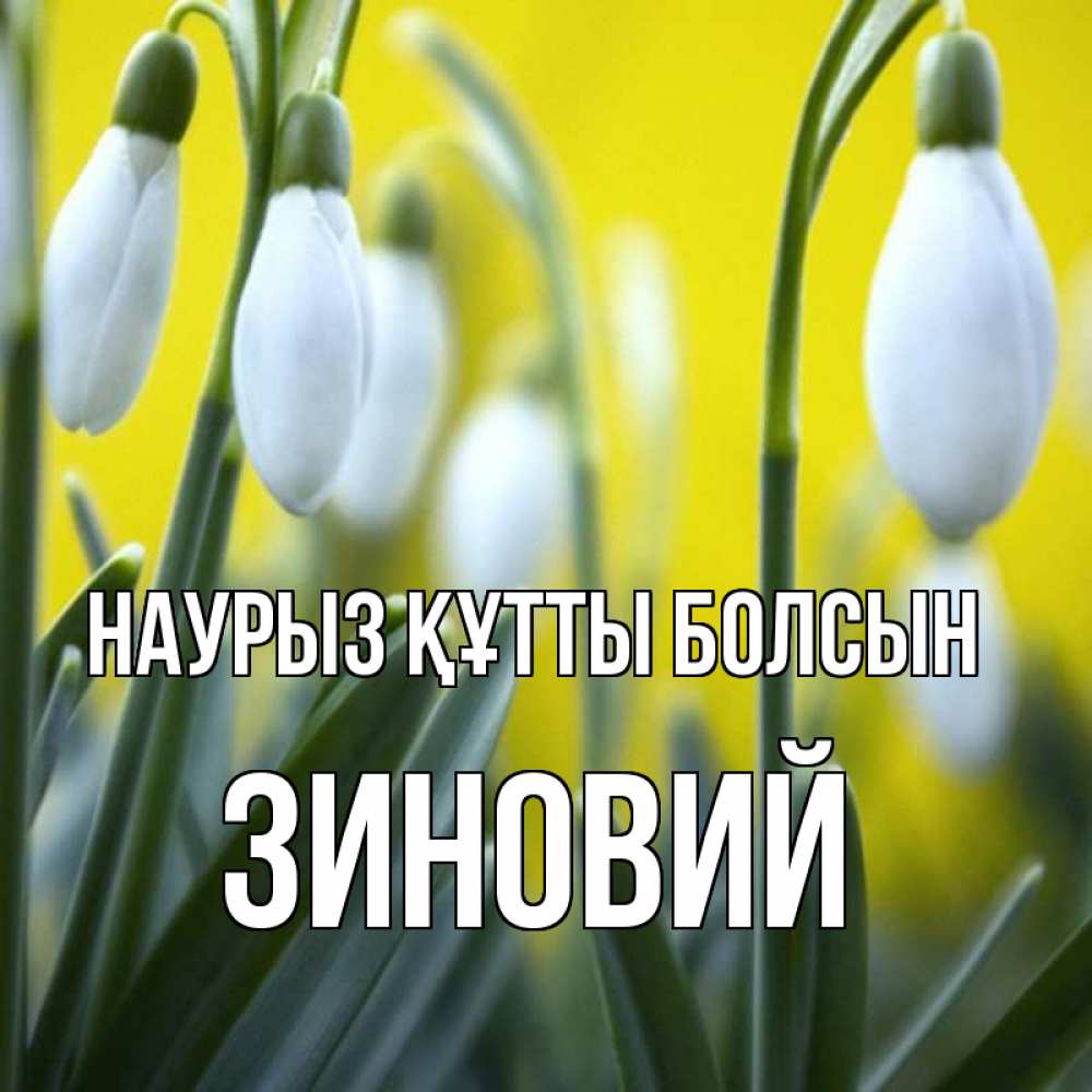 Открытка на каждый день с именем, Зиновий Наурыз құтты болсын весенние цветы Прикольная открытка с пожеланием онлайн скачать бесплатно 