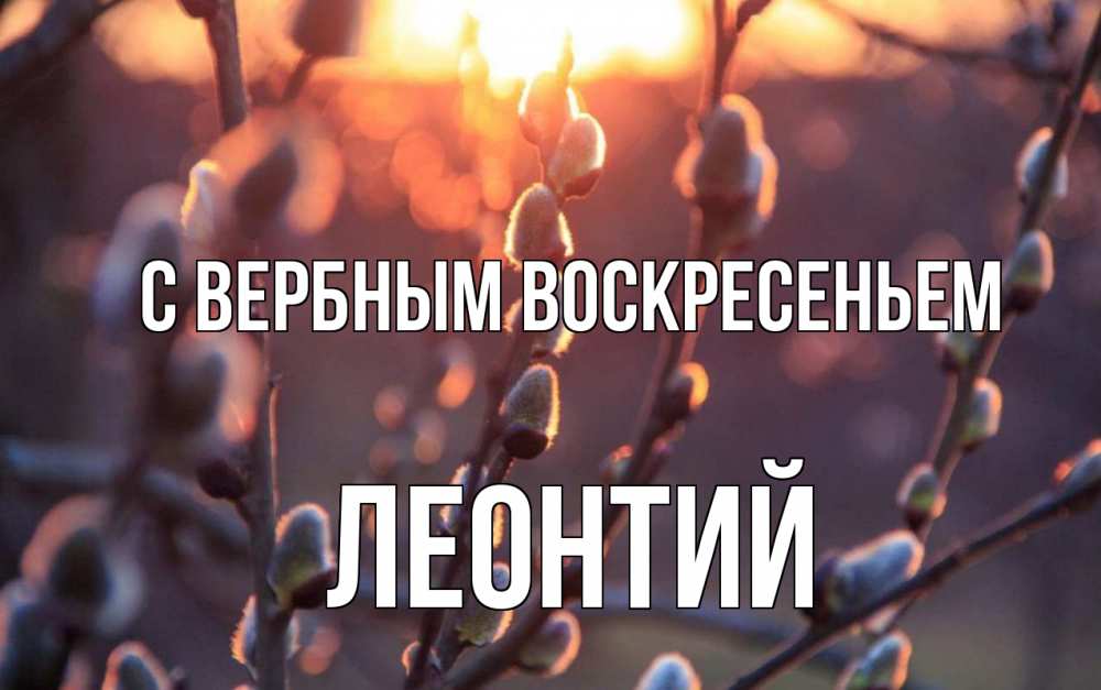 Открытка на каждый день с именем, Леонтий С вербным воскресеньем верба Прикольная открытка с пожеланием онлайн скачать бесплатно 