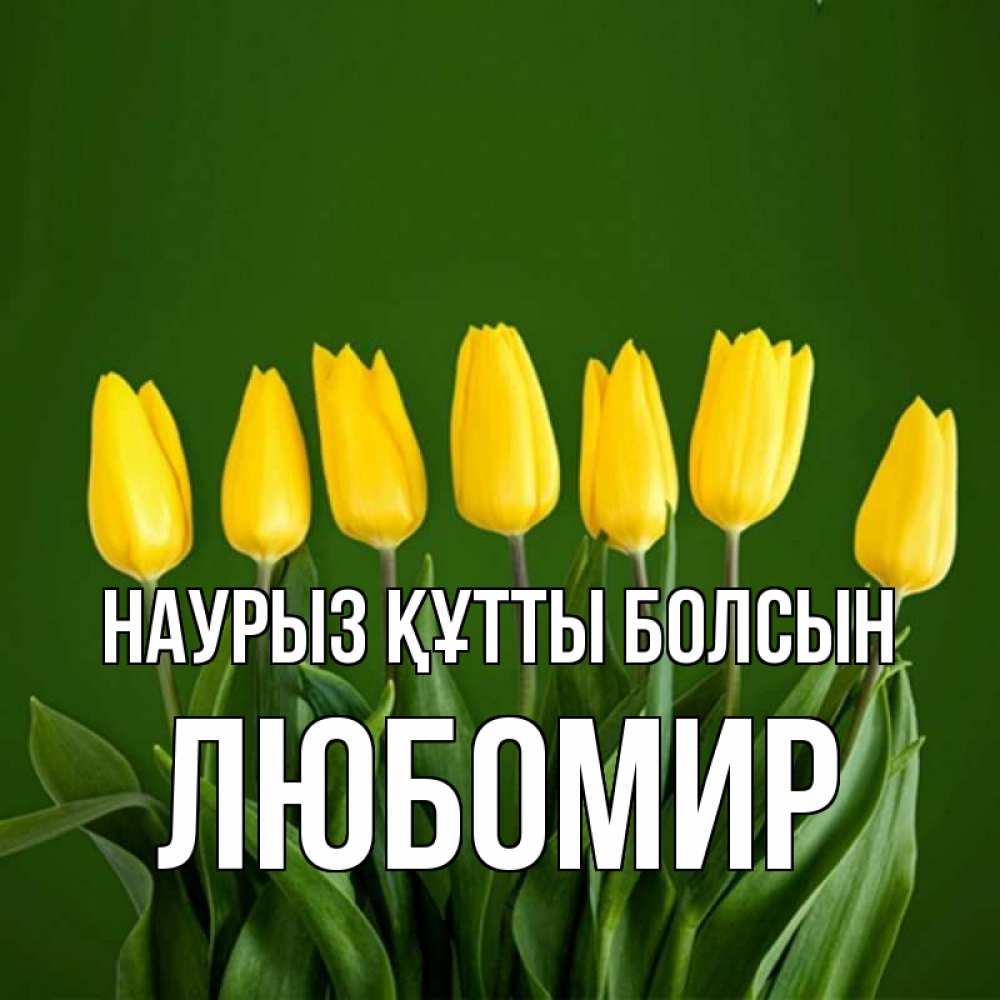 Открытка на каждый день с именем, Любомир Наурыз құтты болсын желтого цвета 3 Прикольная открытка с пожеланием онлайн скачать бесплатно 
