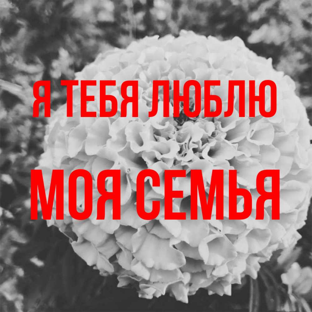 Открытка на каждый день с именем, МОЯ-СЕМЬЯ Я тебя люблю подпись Прикольная открытка с пожеланием онлайн скачать бесплатно 