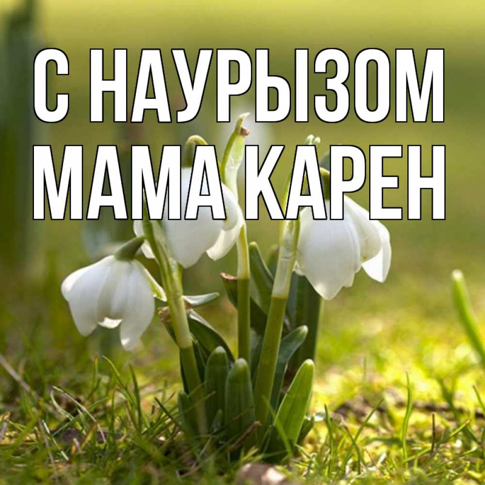 Открытка на каждый день с именем, Мама-Карен С наурызом ранние цветы 2 Прикольная открытка с пожеланием онлайн скачать бесплатно 