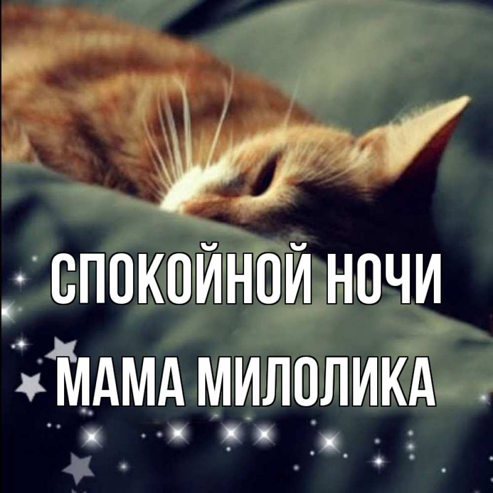 Открытка на каждый день с именем, Мама-Милолика Спокойной ночи кроватка Прикольная открытка с пожеланием онлайн скачать бесплатно 