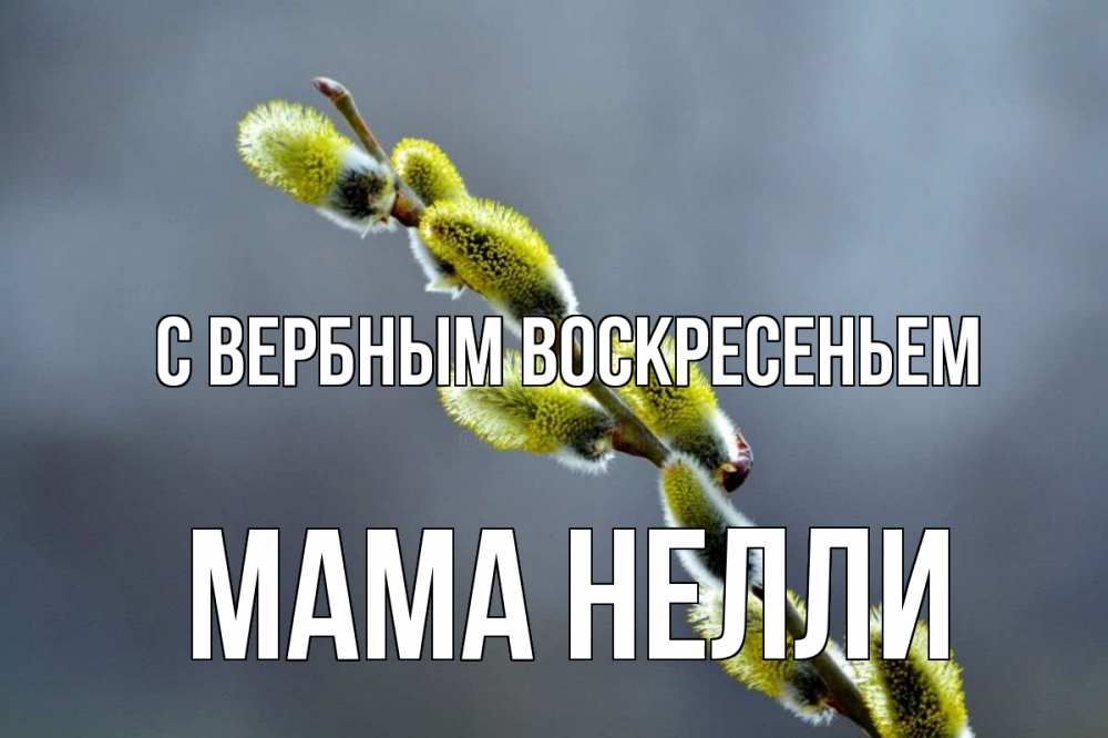 Открытка на каждый день с именем, Мама-Нелли С вербным воскресеньем верба Прикольная открытка с пожеланием онлайн скачать бесплатно 