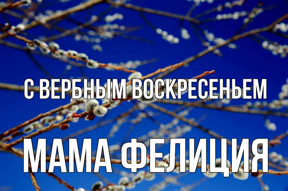 Открытка на каждый день с именем, Мама-Фелиция С вербным воскресеньем верба Прикольная открытка с пожеланием онлайн скачать бесплатно 