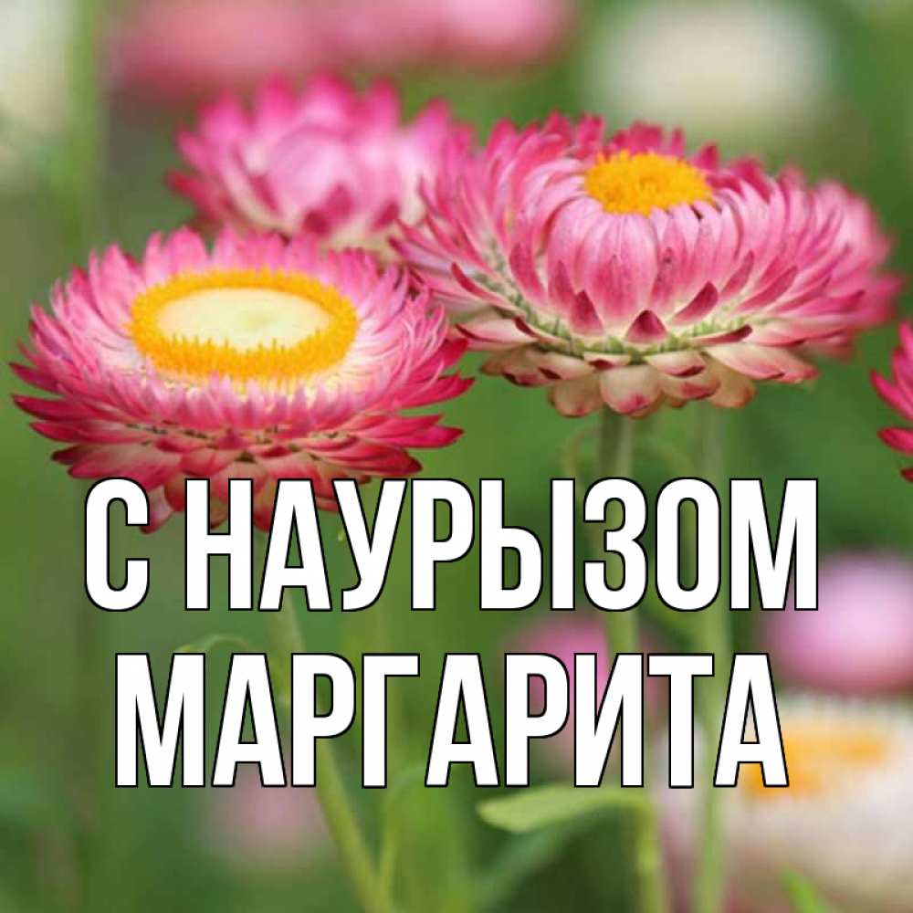 Открытка на каждый день с именем, Маргарита С наурызом подарок на международный женский день Прикольная открытка с пожеланием онлайн скачать бесплатно 