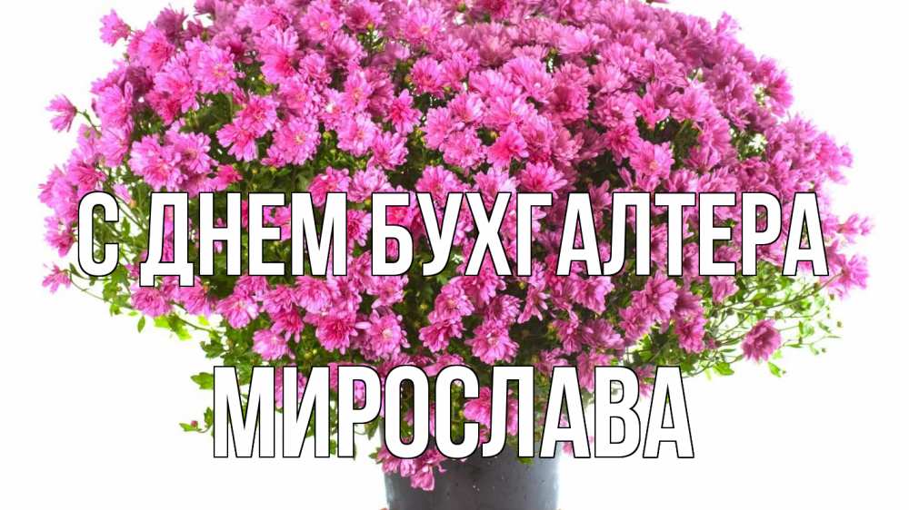 Открытка на каждый день с именем, Мирослава С днем бухгалтера с днем бухгалтера Прикольная открытка с пожеланием онлайн скачать бесплатно 