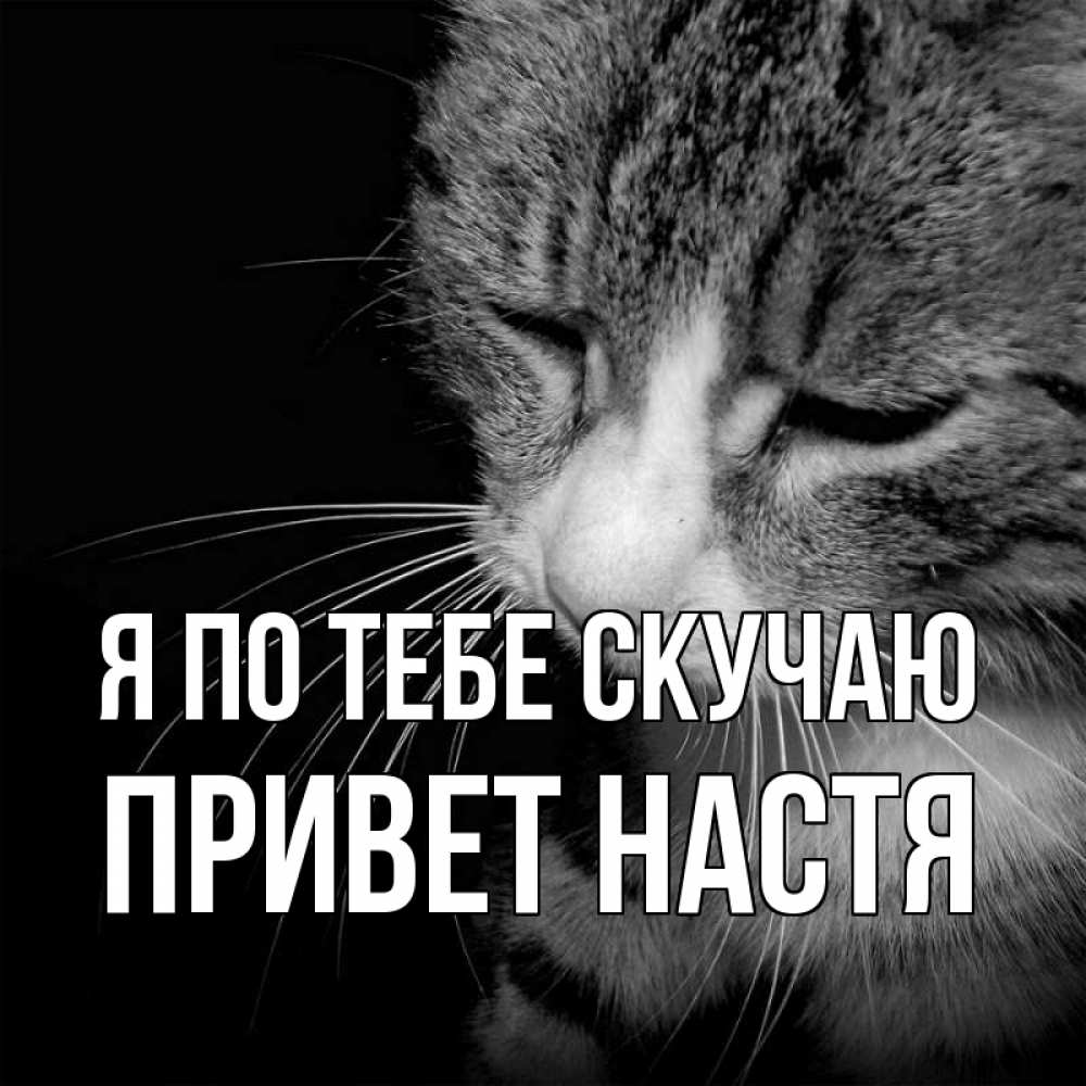 Настя Я Скучаю