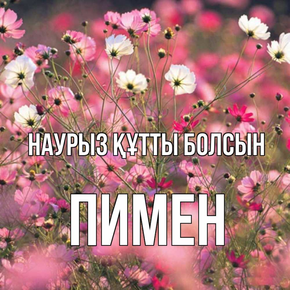 Открытка на каждый день с именем, Пимен Наурыз құтты болсын красиво 1 Прикольная открытка с пожеланием онлайн скачать бесплатно 
