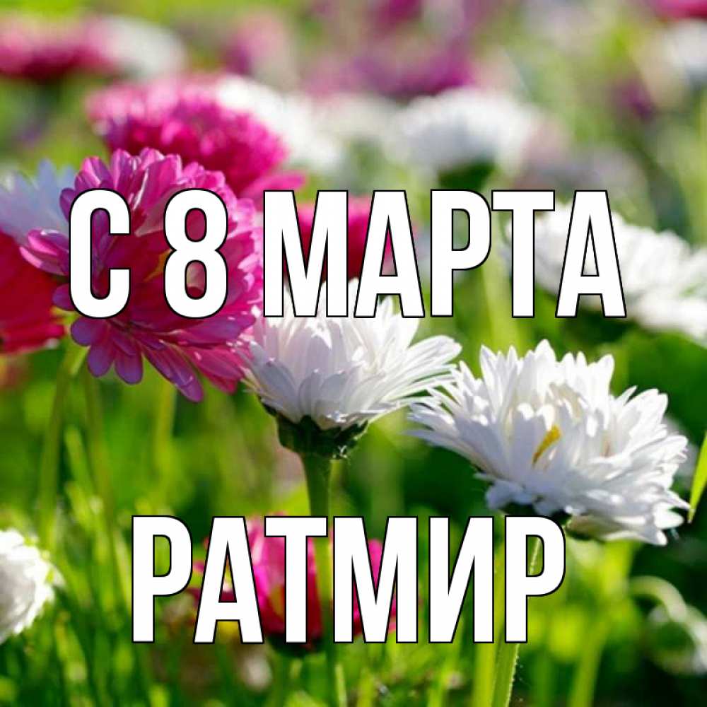Открытка на каждый день с именем, Ратмир С 8 МАРТА международный женский день 1 Прикольная открытка с пожеланием онлайн скачать бесплатно 