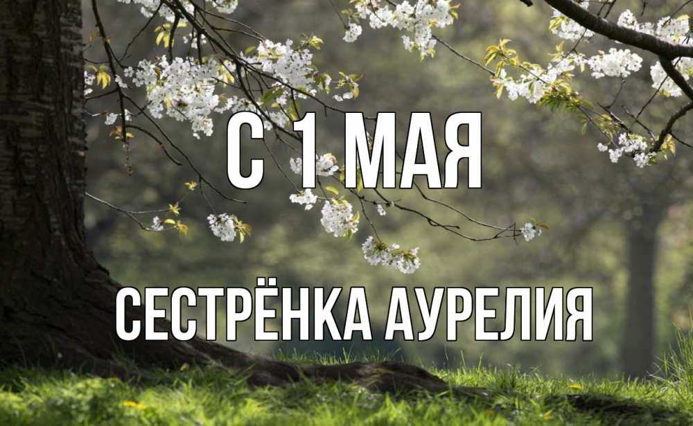 Открытка на каждый день с именем, Сестрёнка-Аурелия С 1 мая С 1 мая Прикольная открытка с пожеланием онлайн скачать бесплатно 