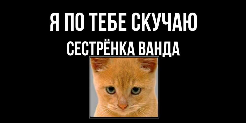 Открытка на каждый день с именем, Сестрёнка-Ванда Я по тебе скучаю открытки рыжий котенок скучает по тебе Прикольная открытка с пожеланием онлайн скачать бесплатно 