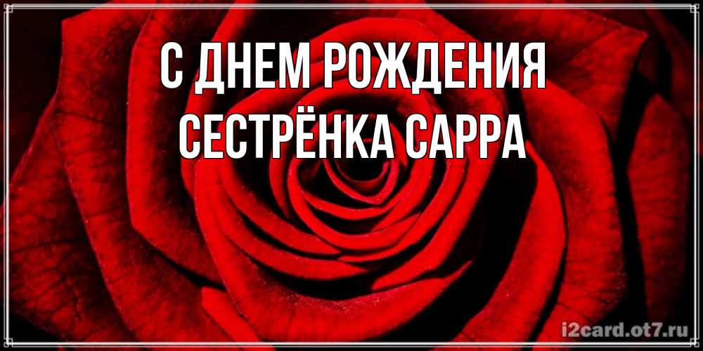 Открытка на каждый день с именем, Сестрёнка-Сарра С днем рождения алая роза Прикольная открытка с пожеланием онлайн скачать бесплатно 