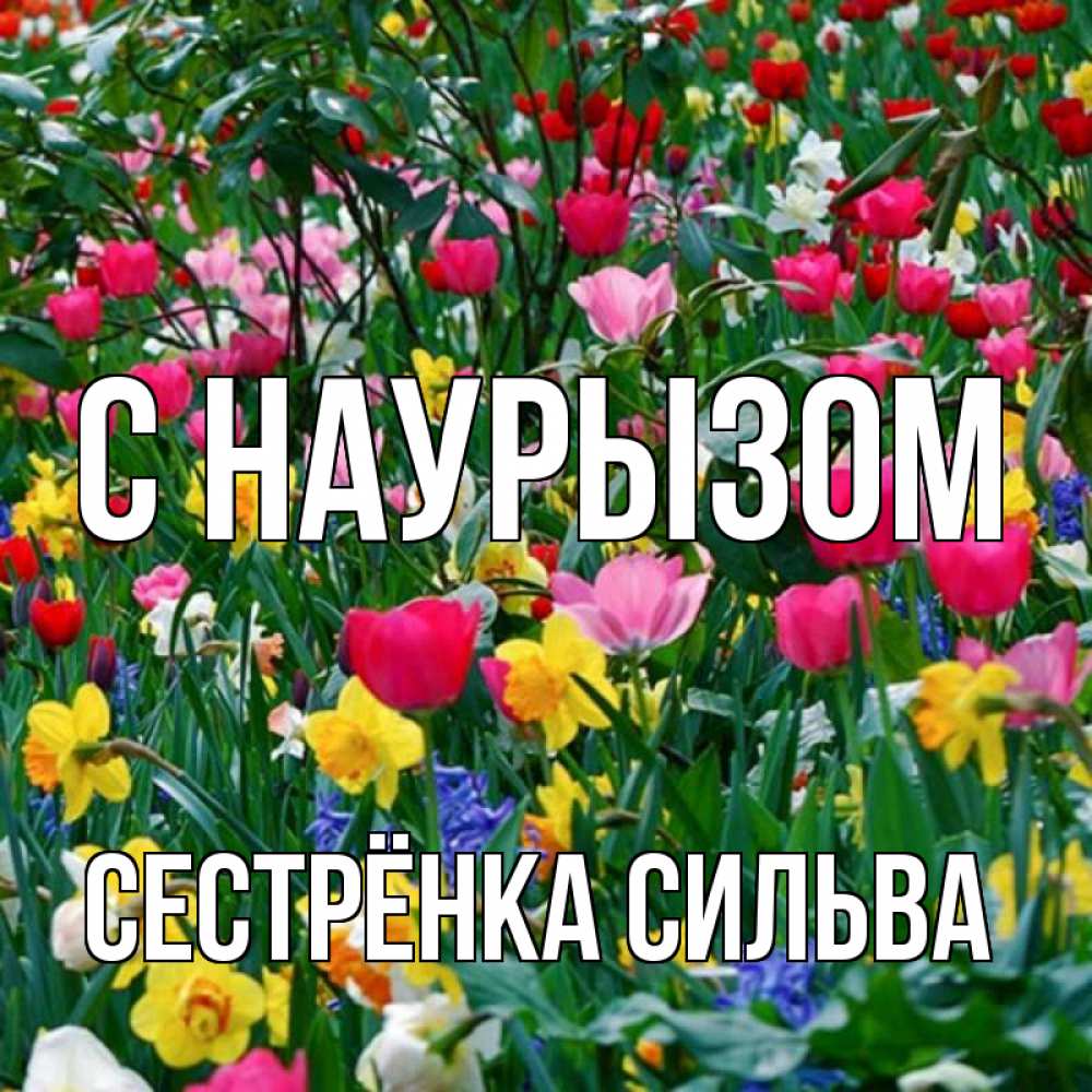 Открытка на каждый день с именем, Сестрёнка-Сильва С наурызом с наурызом праздником весны поздравления для женщины Прикольная открытка с пожеланием онлайн скачать бесплатно 