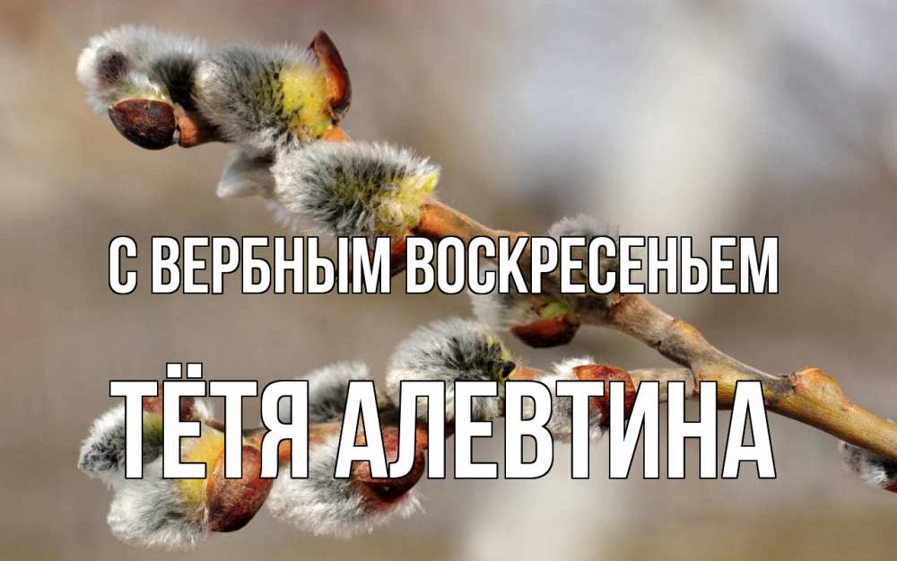 Открытка на каждый день с именем, Тётя-Алевтина С вербным воскресеньем Верба Прикольная открытка с пожеланием онлайн скачать бесплатно 